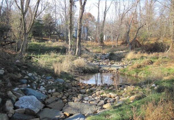 Backyard Buffer
