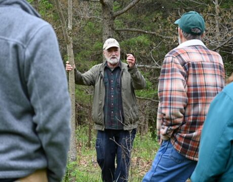 Tree Farmers