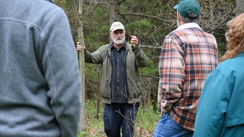 Tree Farmers