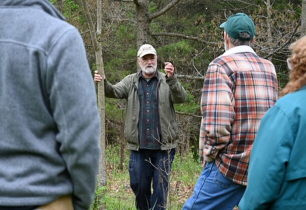 Tree Farmers
