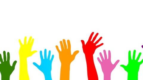 Volunteer