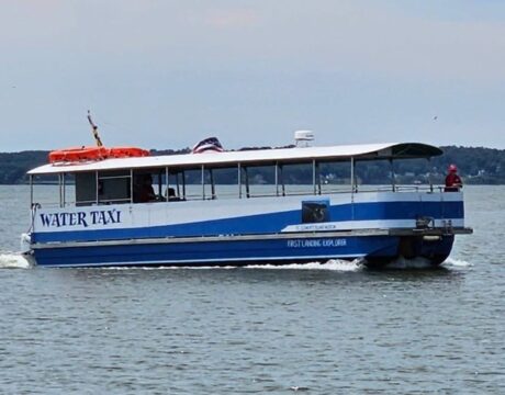 Cruise