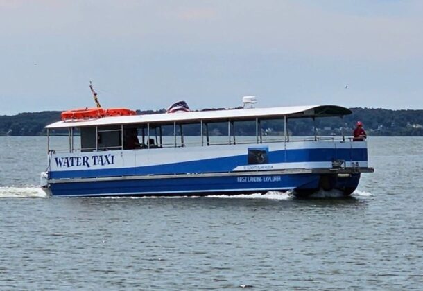 Cruise