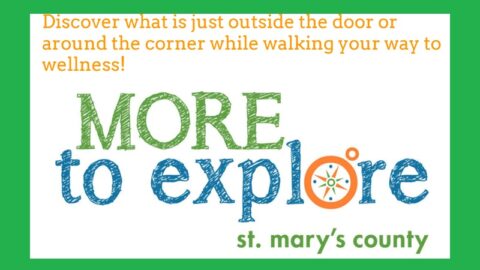 More to Explore